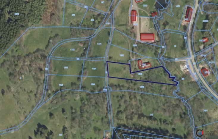 Prodej pozemku pro bydlení, Olešnice v Orlických horách, 4823 m2