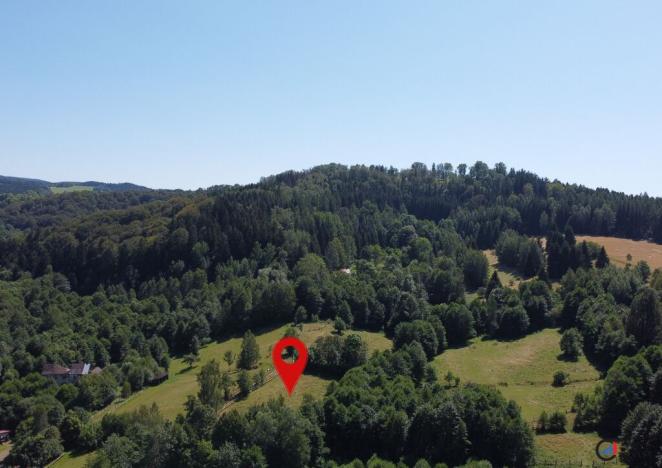 Prodej pozemku pro bydlení, Olešnice v Orlických horách, 2839 m2