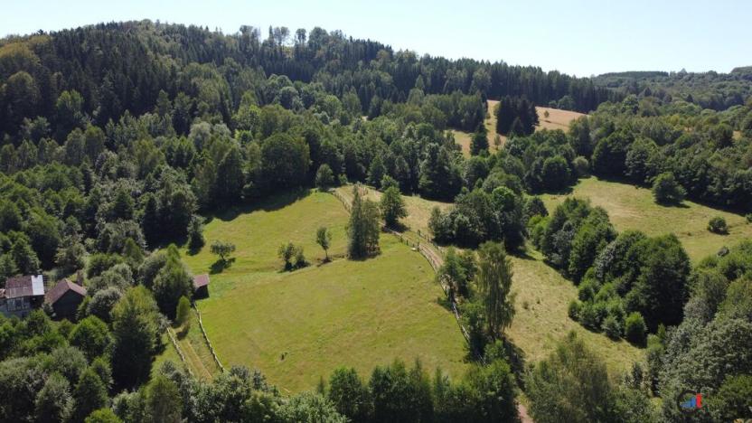 Prodej pozemku pro bydlení, Olešnice v Orlických horách, 2839 m2