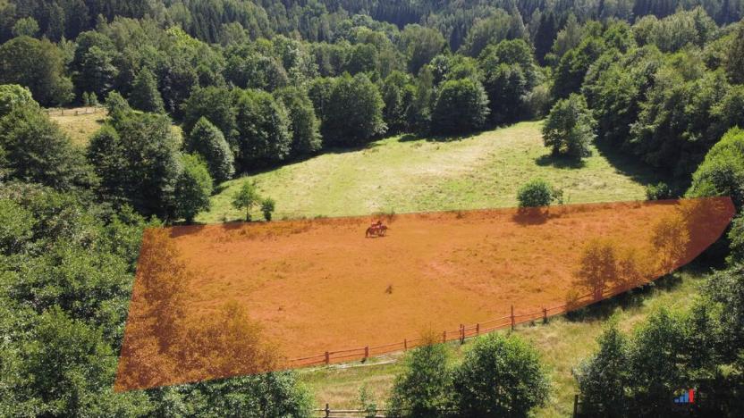 Prodej pozemku pro bydlení, Olešnice v Orlických horách, 3118 m2