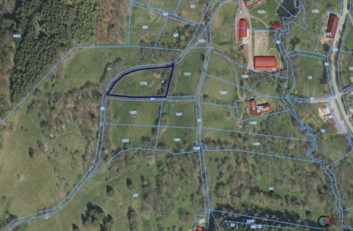 Prodej pozemku pro bydlení, Olešnice v Orlických horách, 3118 m2