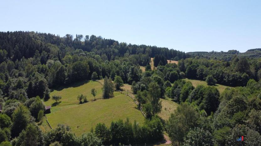 Prodej pozemku pro bydlení, Olešnice v Orlických horách, 2088 m2