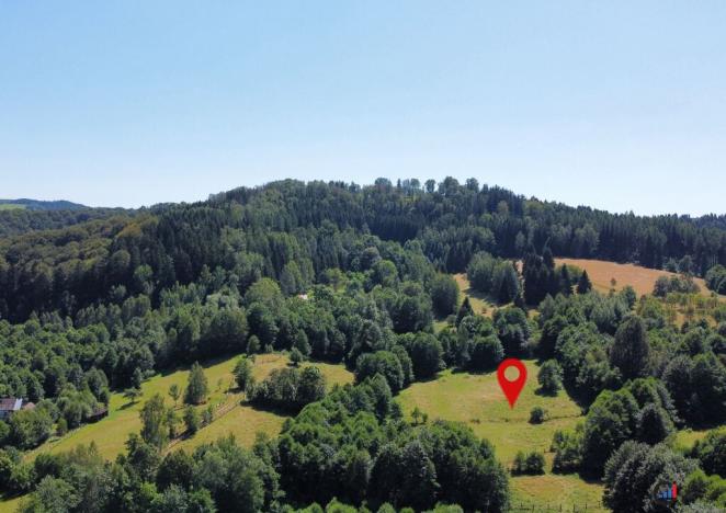 Prodej pozemku pro bydlení, Olešnice v Orlických horách, 3027 m2