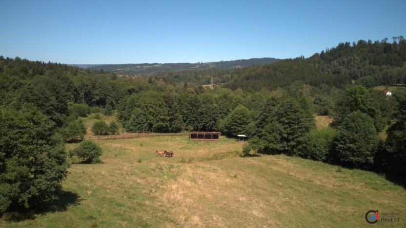 Prodej pozemku pro bydlení, Olešnice v Orlických horách, 3027 m2