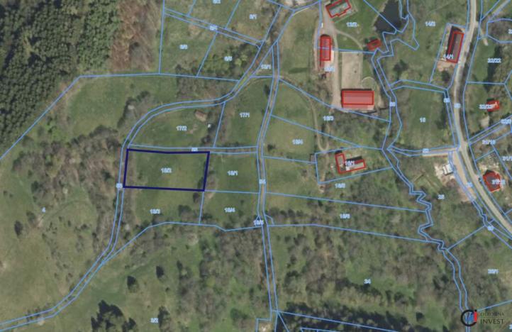 Prodej pozemku pro bydlení, Olešnice v Orlických horách, 3027 m2