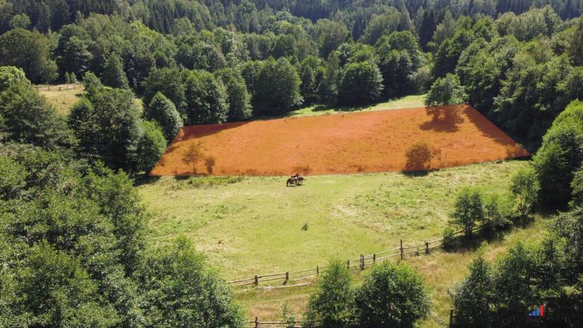 Prodej pozemku pro bydlení, Olešnice v Orlických horách, 3446 m2