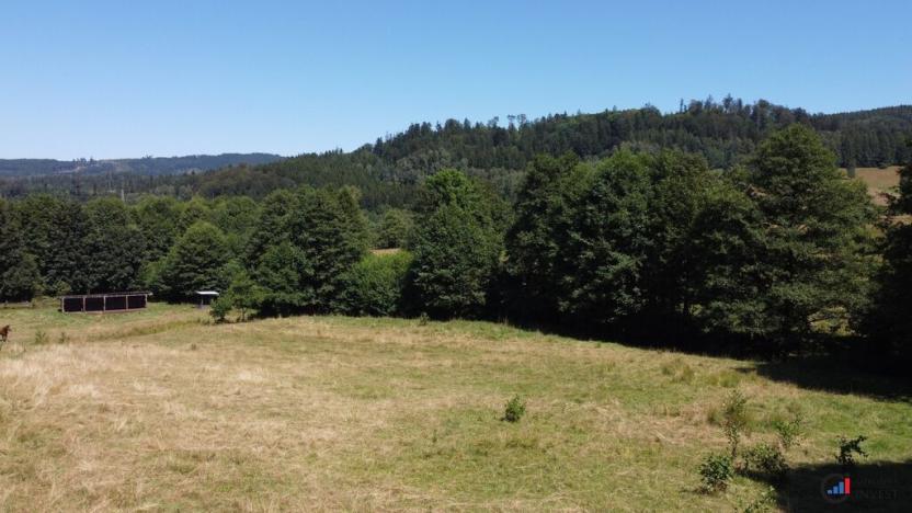 Prodej pozemku pro bydlení, Olešnice v Orlických horách, 3446 m2