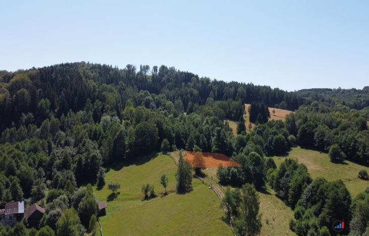 Prodej pozemku pro bydlení, Olešnice v Orlických horách, 2065 m2