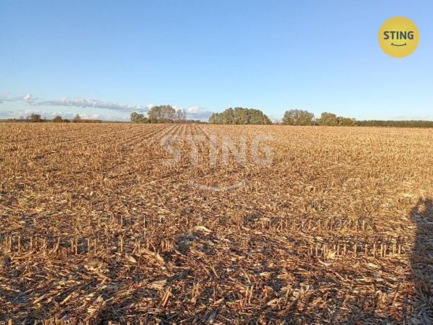 Prodej pole, Moravský Žižkov, 9180 m2