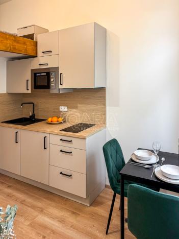 Pronájem bytu 1+kk, Praha - Nové Město, Sokolská, 17 m2