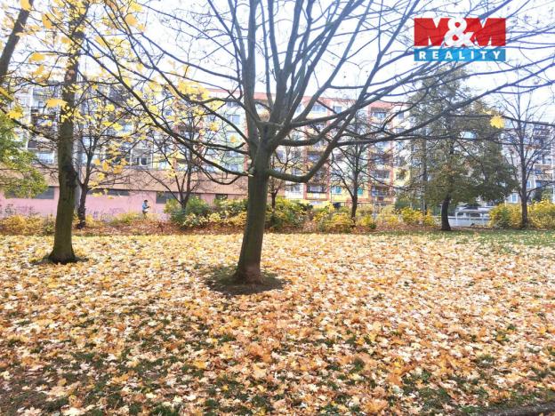 Pronájem bytu 1+1, Ústí nad Labem - Severní Terasa, Šrámkova, 34 m2