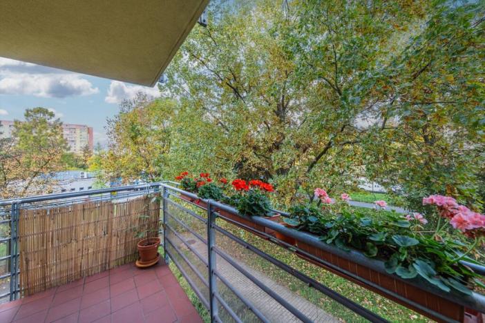 Prodej bytu 1+kk, Praha - Bohnice, Ústavní, 52 m2