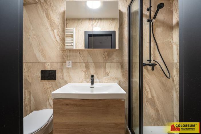 Pronájem bytu 1+kk, Brno - Husovice, 9 m2