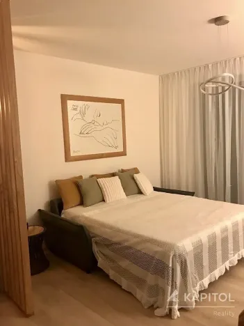 Pronájem bytu 1+kk, Brno, Bystrcká, 30 m2