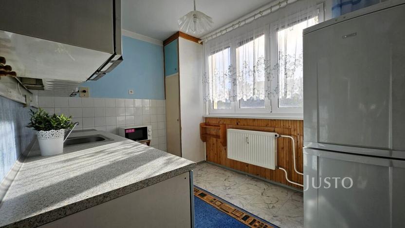 Prodej bytu 2+1, Písek, Dr. M. Horákové, 51 m2