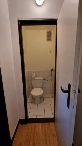 Pronájem rodinného domu, Staré Hradiště, U Špejcharu, 160 m2