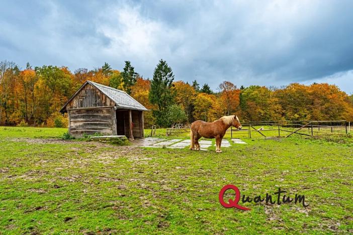 Prodej rodinného domu, Ždírec, 336 m2