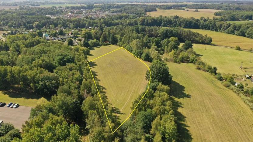 Prodej pozemku, Lázně Bohdaneč, Pod Břízami, 8173 m2