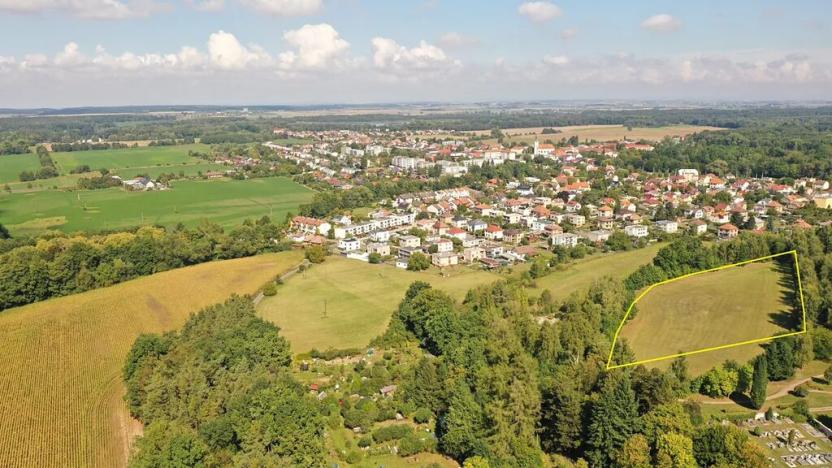 Prodej pozemku, Lázně Bohdaneč, Pod Břízami, 8173 m2