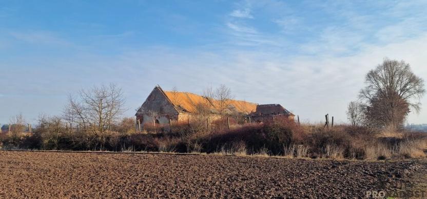 Prodej skladu, Jaroměř, Na Libinách, 1540 m2