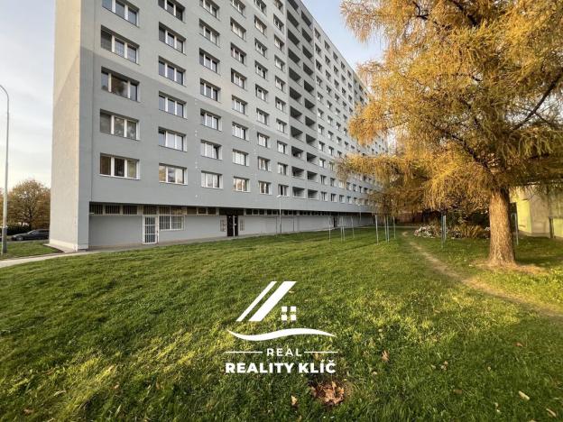 Pronájem bytu 1+1, Ostrava, Josefa Kotase, 38 m2