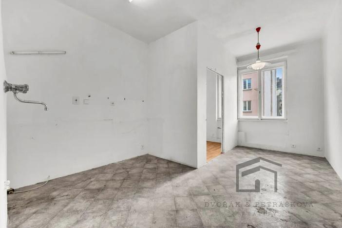 Prodej bytu 1+1, Praha - Nusle, Družstevní, 50 m2