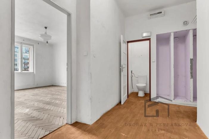 Prodej bytu 1+1, Praha - Nusle, Družstevní, 50 m2