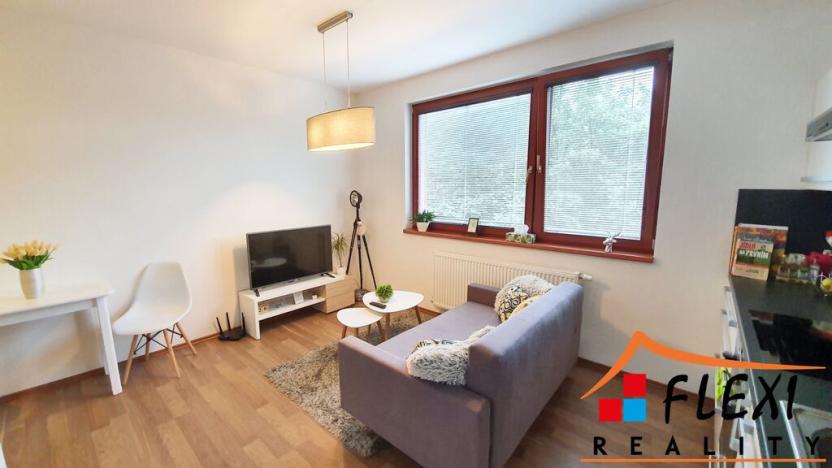 Pronájem bytu 2+kk, Ostrava, Na Bělidle, 47 m2