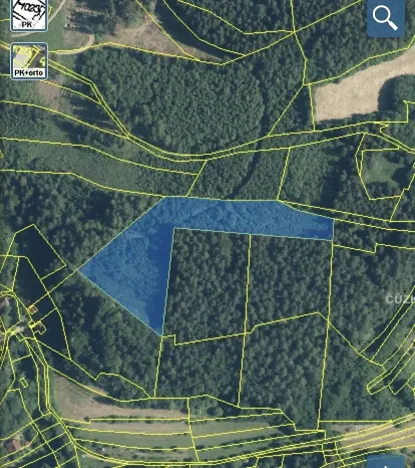 Dražba lesa, Ústí nad Labem, 11769 m2