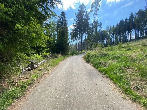 Dražba pozemku, Kladruby nad Labem, 698 m2