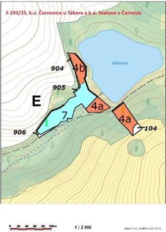 Prodej lesa, Černovice, 10978 m2