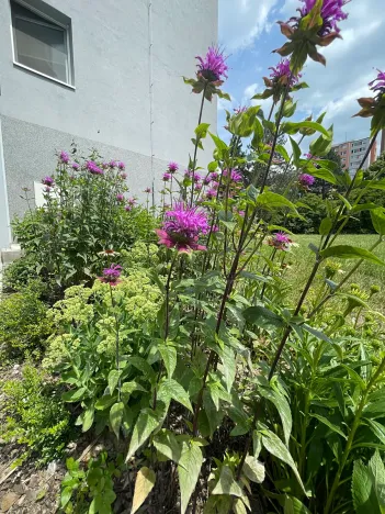 Prodej bytu 2+kk, Praha - Kamýk, Rytířova, 44 m2