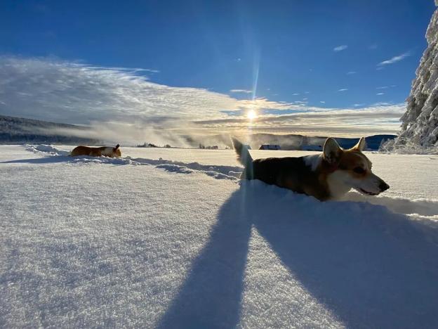 Prodej rodinného domu, Kvilda, 408 m2