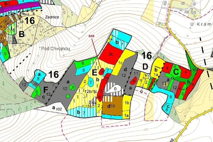 Dražba lesa, Nové Dvory, 81658 m2
