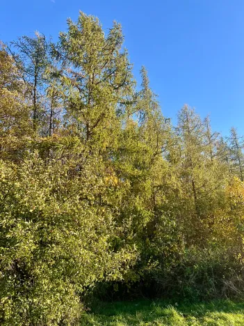 Pronájem bytu 3+kk, Praha - Hlubočepy, Fabiánové, 67 m2