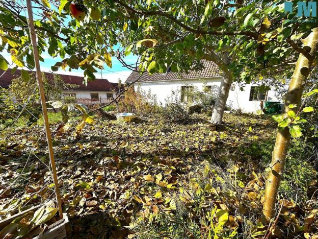 Prodej rodinného domu, Jiřice, 137 m2