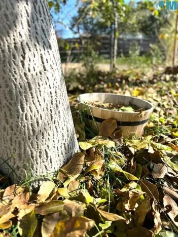 Prodej rodinného domu, Jiřice u Moravských Budějovic, 137 m2