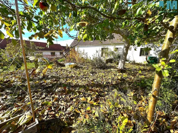 Prodej rodinného domu, Jiřice u Moravských Budějovic, 137 m2