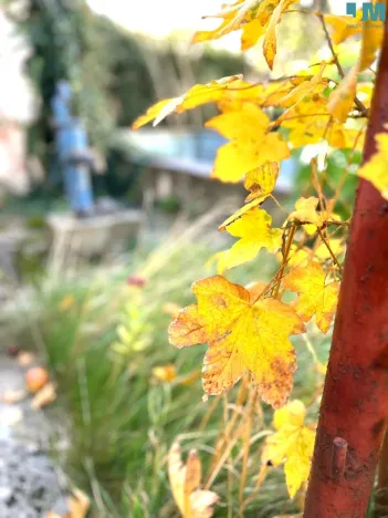 Prodej rodinného domu, Jiřice u Moravských Budějovic, 137 m2