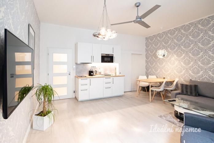 Pronájem bytu 2+kk, Praha - Nové Město, Opletalova, 42 m2