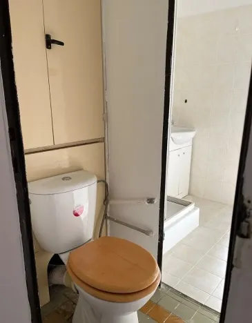 Prodej bytu 2+1, Plzeň, Elišky Krásnohorské, 62 m2