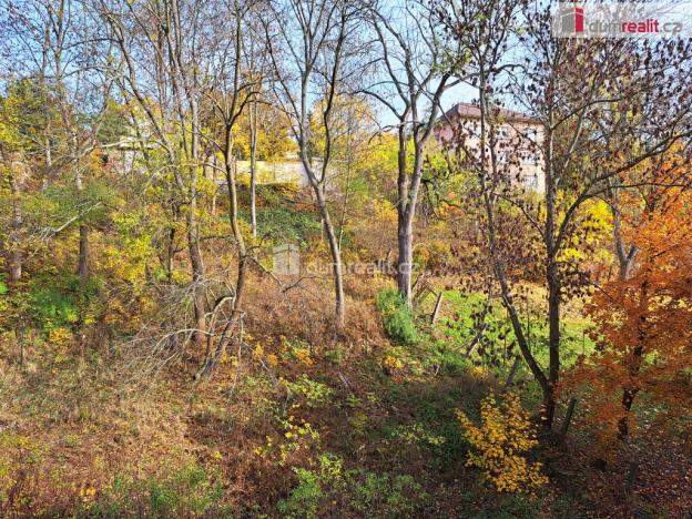 Pronájem bytu 1+1, Ústí nad Labem - Ústí nad Labem-centrum, Masarykova, 44 m2