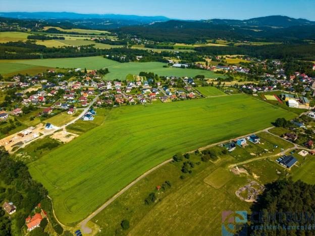 Prodej pozemku pro bydlení, Jenišovice, 49384 m2