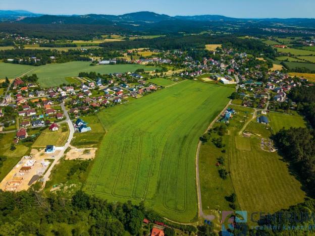 Prodej pozemku pro bydlení, Jenišovice, 49384 m2