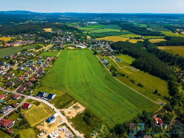 Prodej pozemku pro bydlení, Jenišovice, 49384 m2