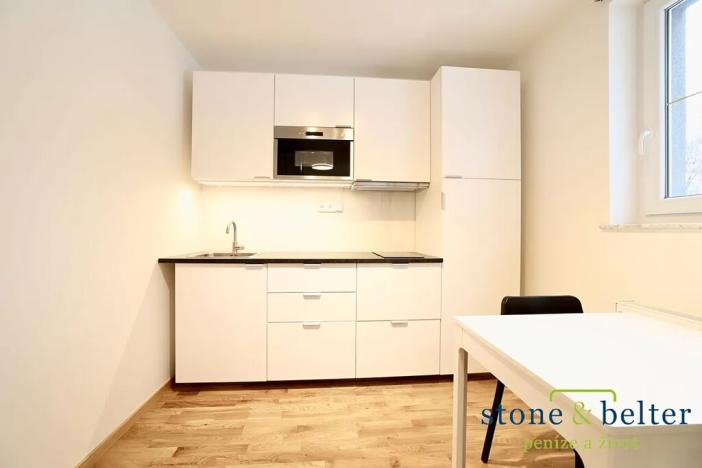 Pronájem bytu 1+kk, Praha - Vysočany, U Lidového domu, 23 m2