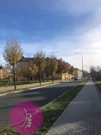 Pronájem bytu 2+1, Uničov, Pionýrů, 54 m2