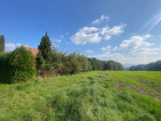 Prodej domu, Horní Bludovice, 524 m2