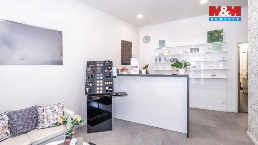 Prodej rodinného domu, Brno - Komárov, Plotní, 480 m2