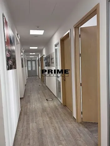 Pronájem kanceláře, Praha - Nové Město, Spálená, 406 m2